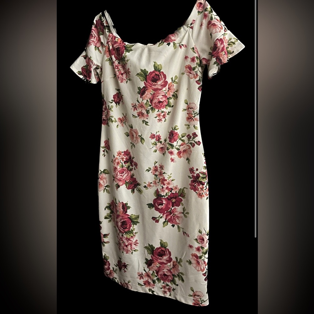 Bisou Bisou Bodycon Dress